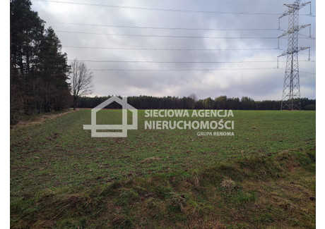 Działka na sprzedaż - Kowalewo, Szemud, Wejherowski, 20 361 m², 509 025 PLN, NET-DJ394953