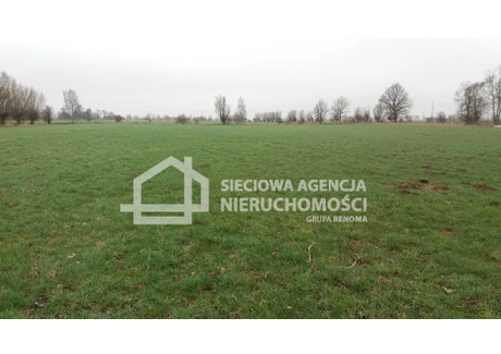 Działka na sprzedaż - Mikoszewo, Stegna, Nowodworski, 1605 m², 473 400 PLN, NET-DJ537891