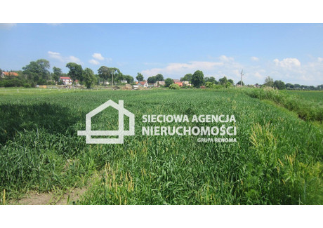 Działka na sprzedaż - Sztutowo, Nowodworski, 4560 m², 820 800 PLN, NET-DJ706213