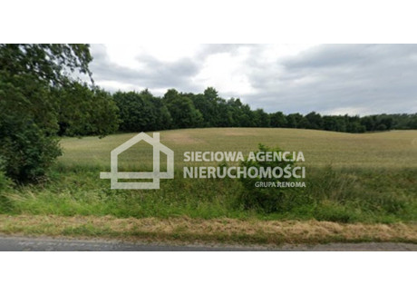 Działka na sprzedaż - Niedamowo, Kościerzyna, Kościerski, 8700 m², 450 000 PLN, NET-DJ677879