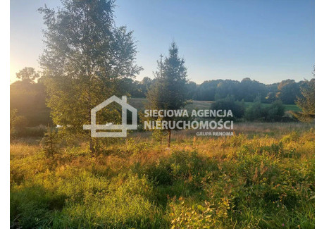 Działka na sprzedaż - Klonowo Górne, Przywidz, Gdański, 3987 m², 380 000 PLN, NET-DJ536864