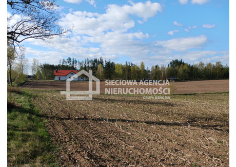 Działka na sprzedaż - Parchowo, Bytowski, 2385 m², 167 000 PLN, NET-DJ578904