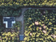 Dom na sprzedaż - Depaula, Krzymów (Gm.), Koniński (Pow.), 170,89 m², 2 900 000 PLN, NET-4045