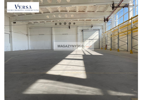 Magazyn do wynajęcia - Grodzisk Mazowiecki, Grodziski, 665 m², 18 000 PLN, NET-VERSA491710