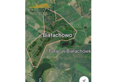 Działka na sprzedaż - Białachowska Białachowo, 7000 m², 255 000 PLN, NET-KJ04350