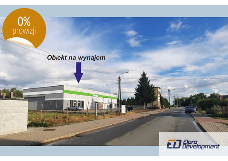 Lokal do wynajęcia - Stodolniana Piątek, Łęczycki, 437 m², 21 850 PLN, NET-742/3666/OLW