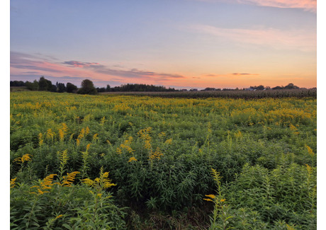 Działka na sprzedaż - Modlnica, Wielka Wieś (gm.), Krakowski (pow.), 8200 m², 490 000 PLN, NET-25