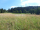 Rolny na sprzedaż - Zawoja, Suski, 11 000 m², 1 200 000 PLN, NET-GS-12879