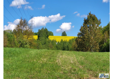 Działka na sprzedaż - Radziszów, Krakowski, 9800 m², 610 000 PLN, NET-GS-12748-4