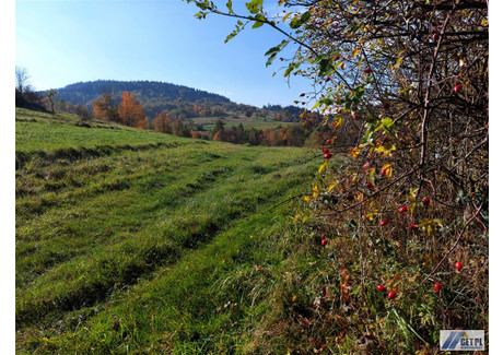 Działka na sprzedaż - Tokarnia, Myślenicki, 16 209 m², 192 000 PLN, NET-GS-11632-9