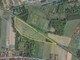 Działka na sprzedaż - Suszec, Pszczyński, 35 231 m², 1 050 000 PLN, NET-SRK-GS-1256