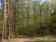 Leśne na sprzedaż - Raszyn, Pruszkowski, 12 000 m², 6 500 000 PLN, NET-10729