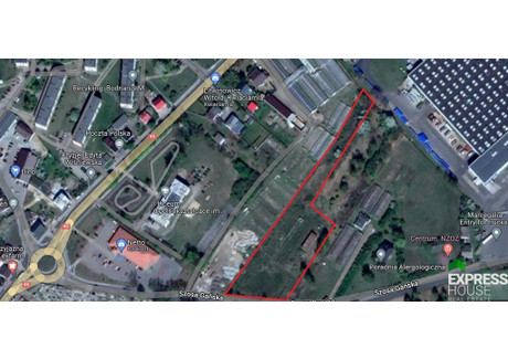 Działka na sprzedaż - Szosa Gańska Praszka, Oleski, 8730 m², 479 000 PLN, NET-894/4158/OGS