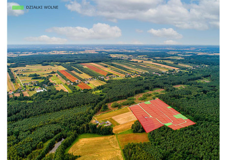 Działka na sprzedaż - Ossa, Biała Rawska (Gm.), Rawski (Pow.), 500 m², 54 900 PLN, NET-1206