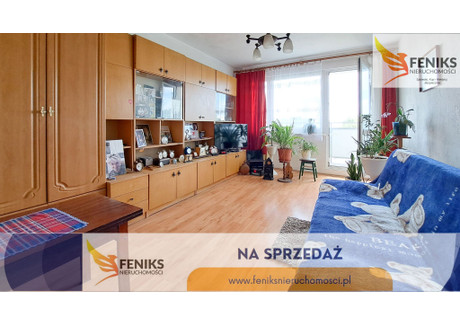 Mieszkanie na sprzedaż - gen. Andersa Zawada, Elbląg, 47,7 m², 279 000 PLN, NET-162