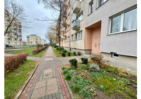 Mieszkanie na sprzedaż - Grudziądzka Malborski, 48 m², 250 000 PLN, NET-740