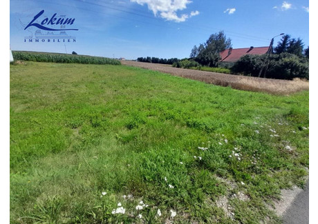 Działka na sprzedaż - Wyciążkowo, Lipno, Leszczyński, 8539 m², 256 000 PLN, NET-LOK-GS-1482