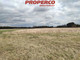Rolny na sprzedaż - Żerniki, Sobków, Jędrzejowski, 9300 m², 39 000 PLN, NET-PRP-GS-71882