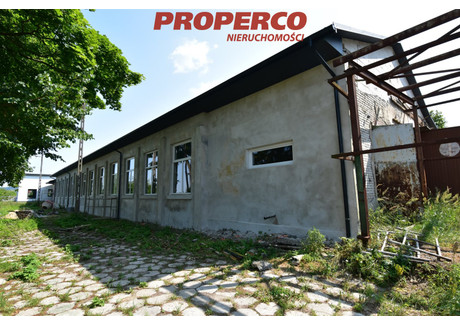 Magazyn do wynajęcia - Promnik, Strawczyn, Kielecki, 600 m², 12 000 PLN, NET-PRP-HW-71842