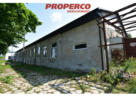 Magazyn do wynajęcia - Promnik, Strawczyn, Kielecki, 600 m², 10 000 PLN, NET-PRP-HW-71842