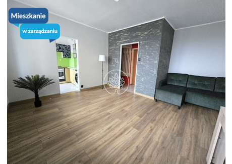 Mieszkanie do wynajęcia - Szwederowo, Bydgoszcz, 32 m², 1300 PLN, NET-1225/14150/OMW