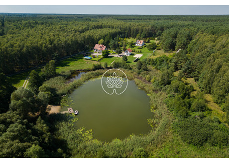 Działka na sprzedaż - Mielenko, Mogilno, Mogileński, 18 000 m², 1 900 000 PLN, NET-273/14150/OGS