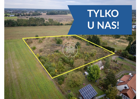 Działka na sprzedaż - Niemcz, Osielsko, Bydgoski, 6648 m², 1 921 272 PLN, NET-380/14150/OGS