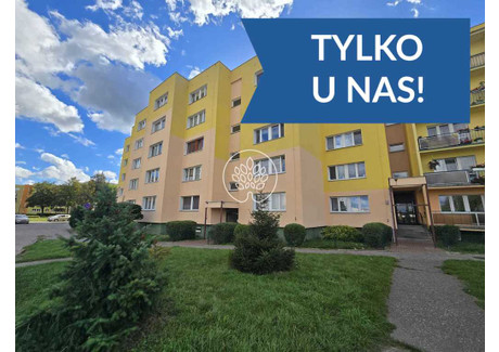 Mieszkanie na sprzedaż - Glinki Bydgoszcz, 43,96 m², 280 000 PLN, NET-11550/14150/OMS