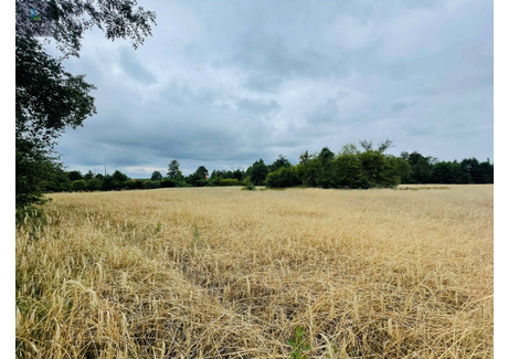 Działka na sprzedaż - Miłkowiec, Kozłowo (Gm.), Nidzicki (Pow.), 3000 m², 87 000 PLN, NET-L/05/07/2024