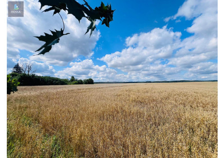 Działka na sprzedaż - Radomin, Nidzica (gm.), Nidzicki (pow.), 15 898 m², 189 000 PLN, NET-L/02/07/2024