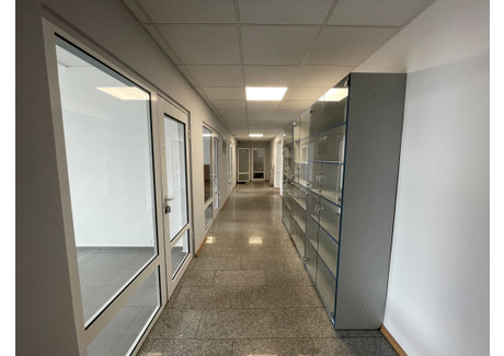 Biuro do wynajęcia - Grunwaldzka Boczna Pruszcz Gdański, Gdański (Pow.), 16 m², 1200 PLN, NET-55