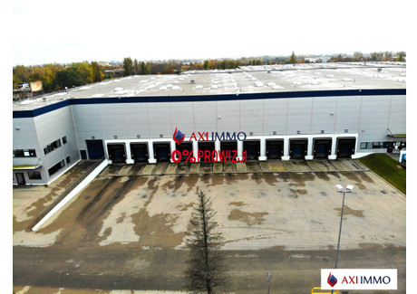 Magazyn do wynajęcia - Widzew, Łódź, 2500 m², 7500 Euro (32 100 PLN), NET-8688