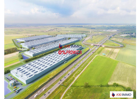 Magazyn do wynajęcia - Żyrardów, Żyrardowski, 6000 m², 28 800 Euro (124 416 PLN), NET-8362