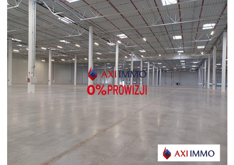 Magazyn do wynajęcia - Szczecin, 8950 m², 31 325 Euro (135 324 PLN), NET-8505