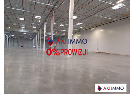 Magazyn do wynajęcia - Szczecin, 4210 m², 7975 Euro (34 452 PLN), NET-8659