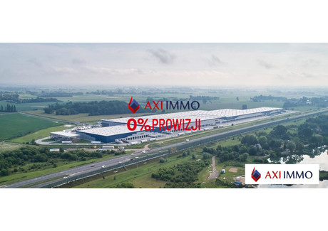 Magazyn do wynajęcia - Grodzisk Mazowiecki, Grodziski, 10 000 m², 47 500 Euro (202 825 PLN), NET-9022