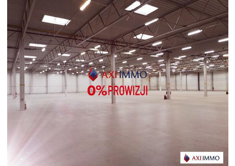 Magazyn do wynajęcia - Długołęka, Wrocławski, 1800 m², 7200 Euro (31 176 PLN), NET-7781