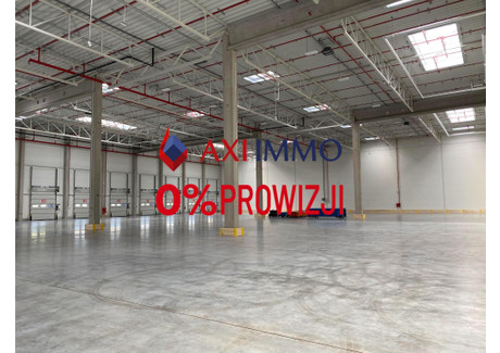 Magazyn do wynajęcia - Katowice, 3500 m², 12 600 Euro (53 802 PLN), NET-8996