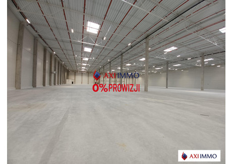 Magazyn do wynajęcia - Widzew, Łódź, 3000 m², 11 400 Euro (49 248 PLN), NET-8516