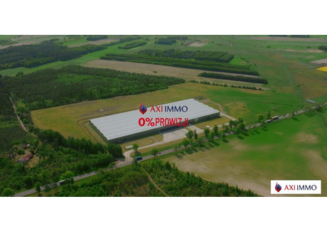 Magazyn do wynajęcia - Bielsk Podlaski, Bielski, 8900 m², 195 800 PLN, NET-8547