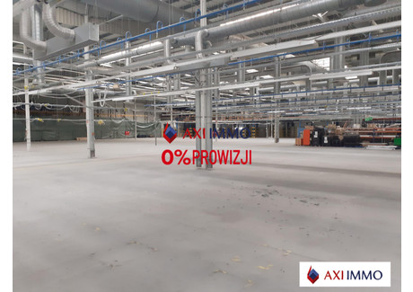 Magazyn do wynajęcia - Widzew, Łódź, 10 000 m², 40 000 Euro (172 800 PLN), NET-8306