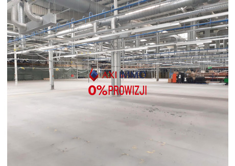 Magazyn do wynajęcia - Widzew, Łódź, 10 000 m², 40 000 Euro (172 800 PLN), NET-8925