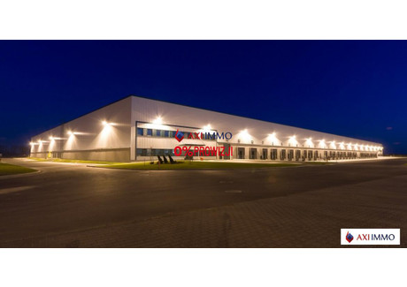 Magazyn do wynajęcia - Błonie, Warszawski Zachodni, 9700 m², 36 375 Euro (157 140 PLN), NET-8822