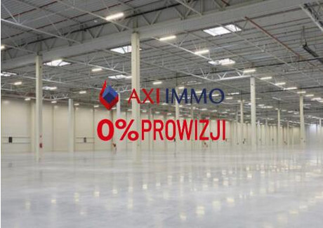 Magazyn do wynajęcia - Mysłowice, 12 896 m², 56 613 Euro (241 739 PLN), NET-8999