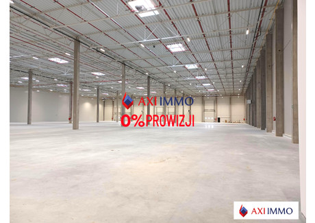 Magazyn do wynajęcia - Pabianice, Pabianicki, 15 000 m², 52 500 Euro (226 275 PLN), NET-8200