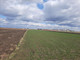 Rolny na sprzedaż - Nowa Wola, Lesznowola (gm.), Piaseczyński (pow.), 35 800 m², 13 250 000 PLN, NET-FOKE762