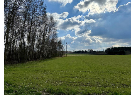 Działka na sprzedaż - Kotorydz, Tarczyn (gm.), Piaseczyński (pow.), 7153 m², 1 573 660 PLN, NET-CAXUs958