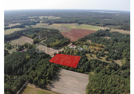 Działka na sprzedaż - Osiek, Starogardzki, 6000 m², 450 000 PLN, NET-M308969