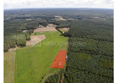 Działka na sprzedaż - Osówek Osieczna, Starogardzki, 4623 m², 115 575 PLN, NET-M308964