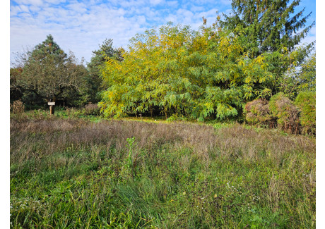 Działka na sprzedaż - Czernichów, Czernichów (gm.), Krakowski (pow.), 2270 m², 215 000 PLN, NET-173RS